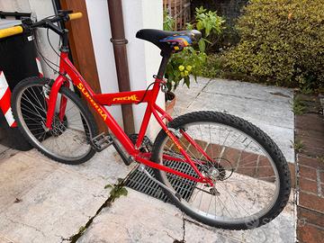 bici da ragazzo