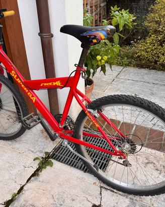 bici da ragazzo