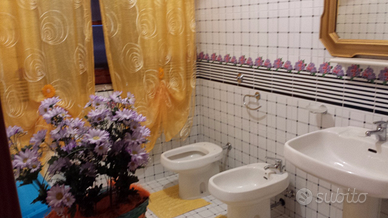 Vari appartamenti a 100 MT dal mare settembre