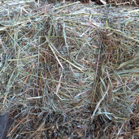 Fieno per capre e pecore