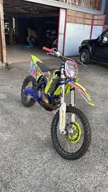 Sherco se 300