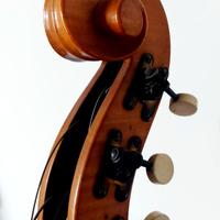 VIOLA DA GAMBA TENORE