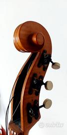 VIOLA DA GAMBA TENORE