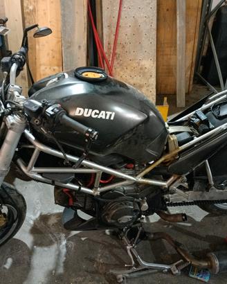 Ducati monster 