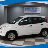 FIAT Panda Hybrid 1.0 FireFly 70cv EU6