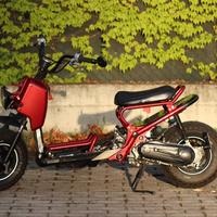 Honda Zoomer Custom