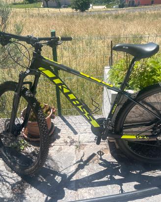 Bici da montabike