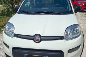 FIAT PANDA HYBRID 1.0 FIREFLY