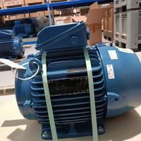 MOTORE WEG TRIFASE 2 POLI 11 kW