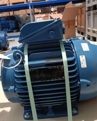 MOTORE WEG TRIFASE 2 POLI 11 kW
