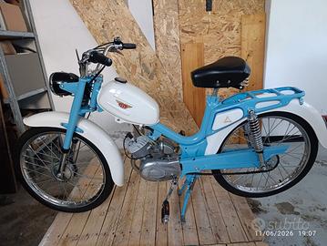 Motorino Testi