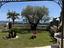 Immagine 26