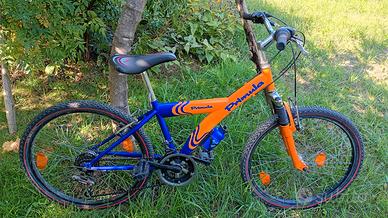 Mountain bike bambino
