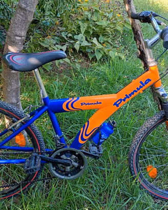 Mountain bike bambino