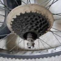 Ruote bici
