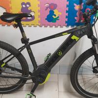 ebike 