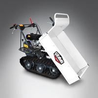 MOTOCARIOLA MT 300 S BS  BRIGGS & STRATTON