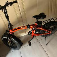 bcici elettrica 250w