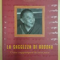 La saggezza di Buddha - Lama Thamthog Rinpoche