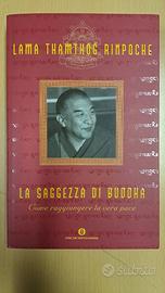 La saggezza di Buddha - Lama Thamthog Rinpoche