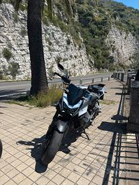 HORNET 750