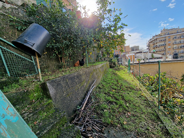 Appartamento - Sestri Ponente - Semindipendente