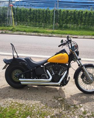 Harley Davidson Softail Night Train 1584