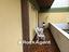 Immagine 19