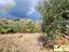 Immagine 22