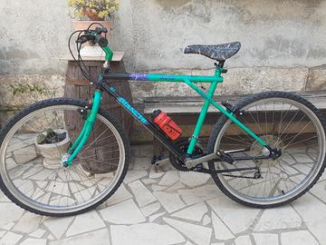 bianchi ragno meta 