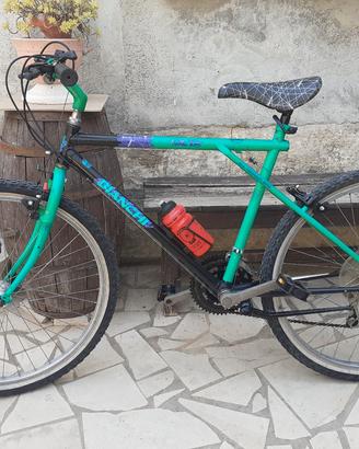 bianchi ragno meta 