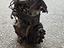 Immagine 6