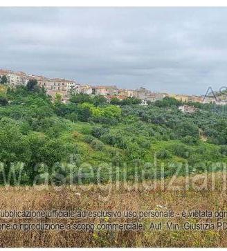 Stabile/Palazzo Paglieta [A4341199]