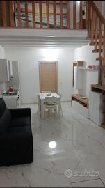 Appartamento appena ristrutturato