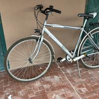 Citybike marca Coppi modello Beverly