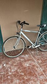 Citybike marca Coppi modello Beverly
