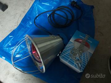 lampada- luce riflettore per pulcini