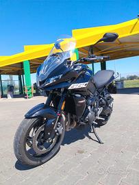 Tiger sport 660