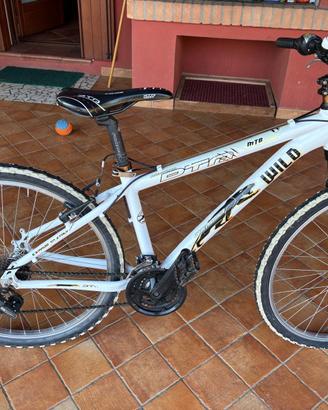 Bcicletta mountain bike da ragazzo