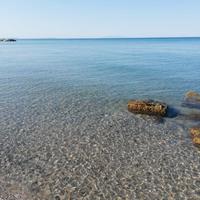 Mare dal 8 agosto al 19 settembre