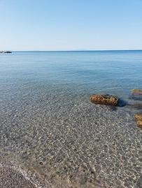 Mare dal 8 agosto al 19 settembre
