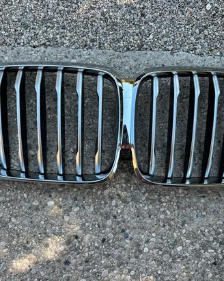 Calandra anteriore Bmw X5