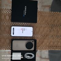 Vivo x300 pro 256 