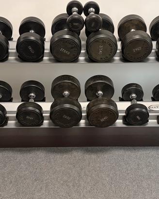 Rack completo di coppie di manubri da kg 2,5 a 30