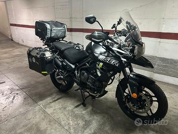 Triumph tiger 800