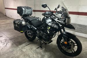 Triumph tiger 800