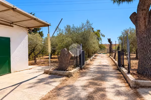 TERRENO A MANFREDONIA