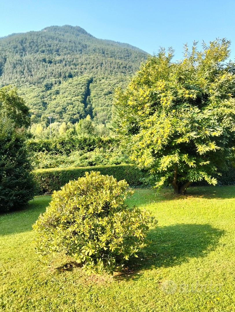 Appartamento di pregio - Vista 3