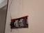 Immagine 14