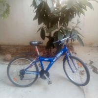 Bicicletta